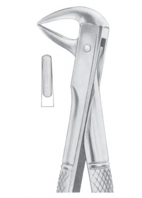 Fig. 137 lower incisors and roots 